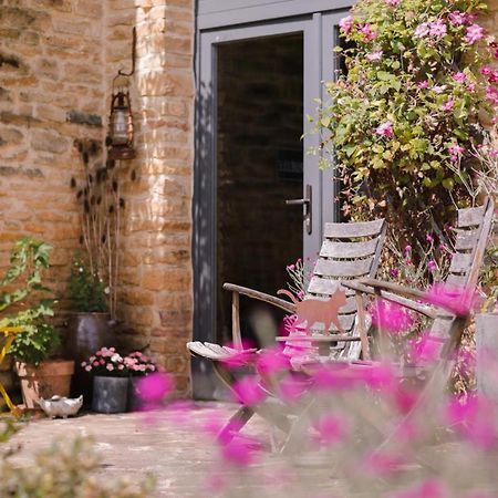 Les Chambres Du Chat Sainte-Cécile Exteriér fotografie