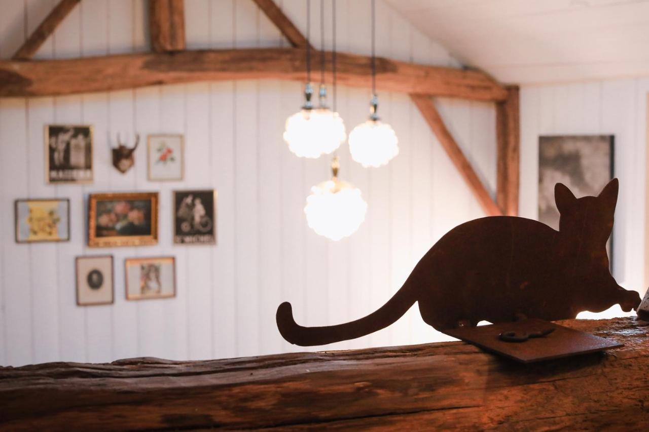 Les Chambres Du Chat Sainte-Cécile Exteriér fotografie