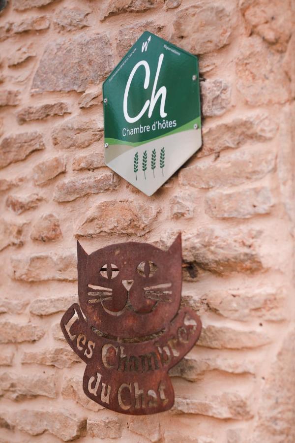 Les Chambres Du Chat Sainte-Cécile Exteriér fotografie