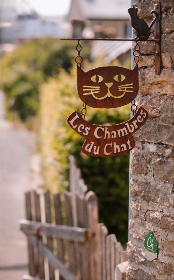 Les Chambres Du Chat Sainte-Cécile Exteriér fotografie