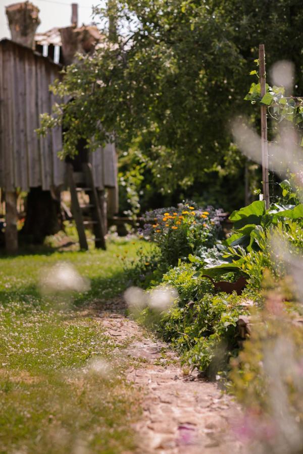 Les Chambres Du Chat Sainte-Cécile Exteriér fotografie