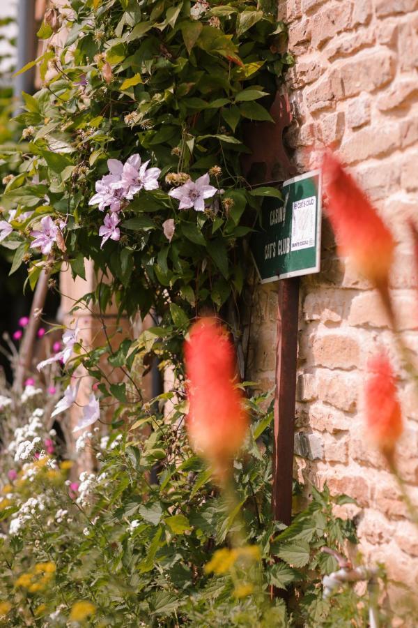 Les Chambres Du Chat Sainte-Cécile Exteriér fotografie